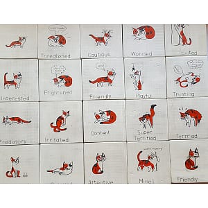 Coasters & Wall Hangings