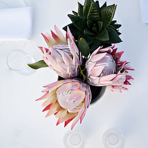 Memorial & Funeral Services